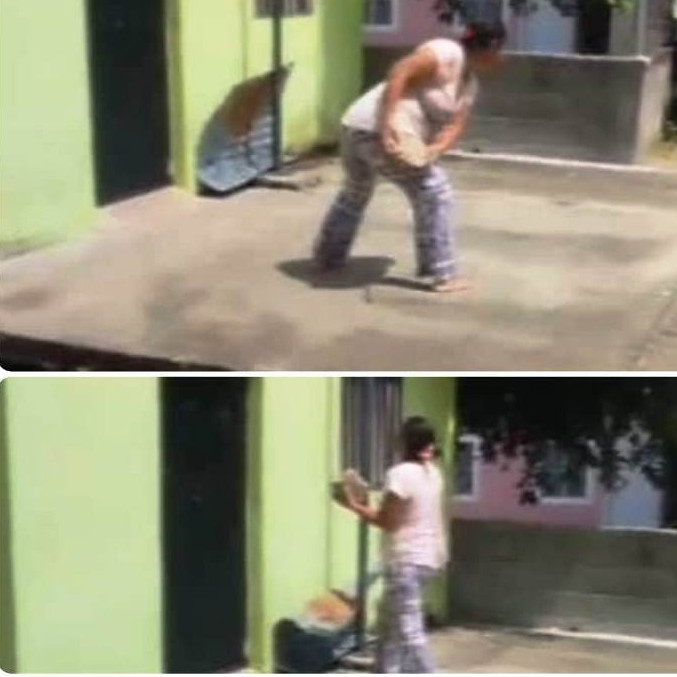 Diario Frontera, Frontera Digital,  Sucesos, ,Ciudadana con presunto problema 
psicológico agrede a niños en El Vigía