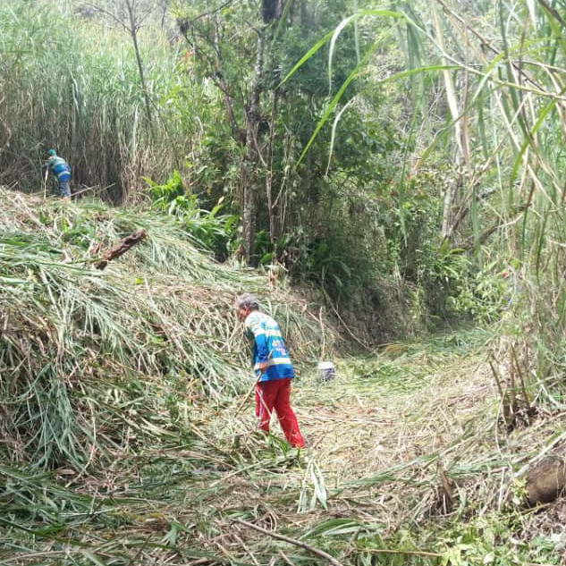 Diario Frontera, Frontera Digital,  Regionales, ,Intensifican rescate del Parque Metropolitano “Albarregas” 
con el Plan Chuquisaca 200
