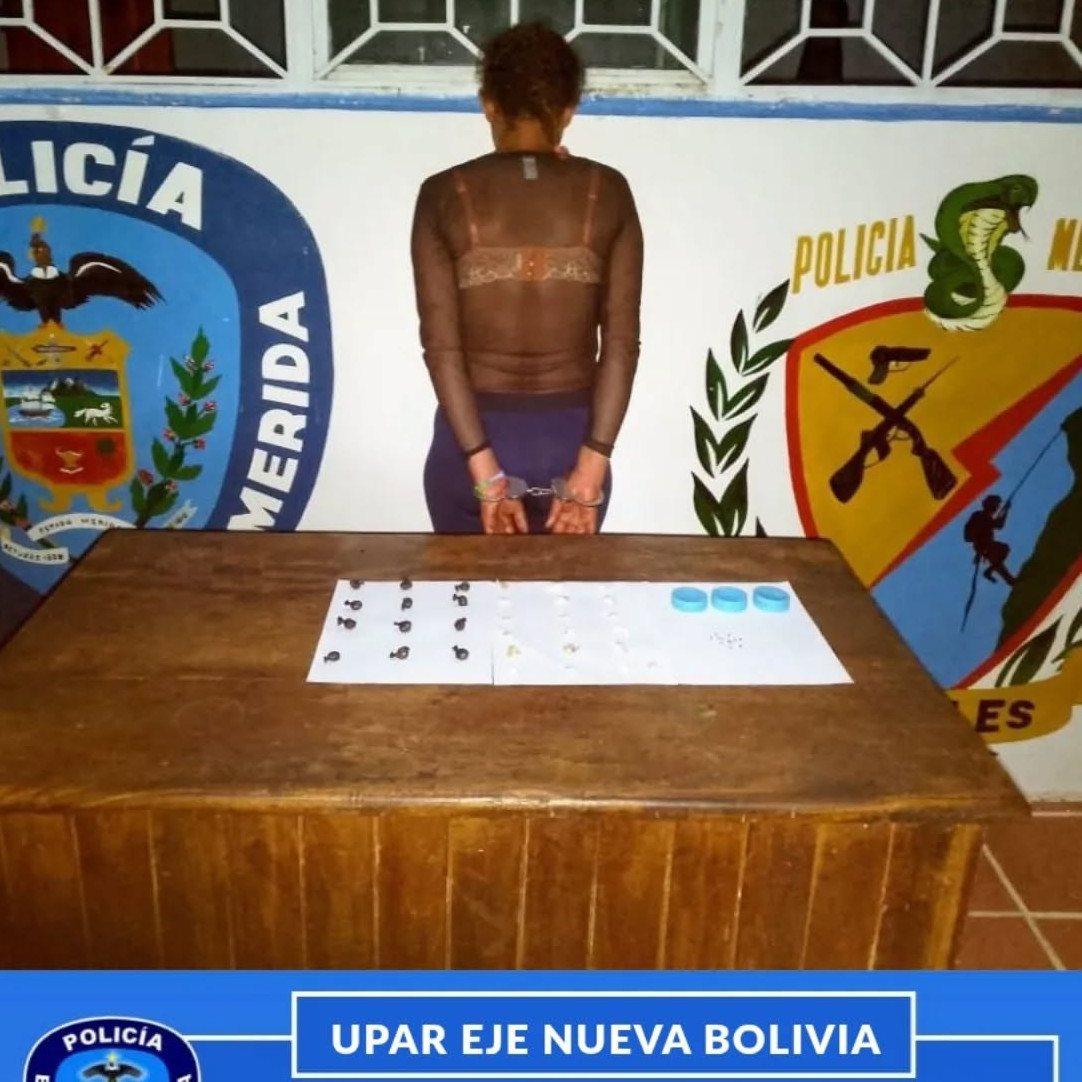 Diario Frontera, Frontera Digital,  Sucesos, ,Policía Rural capturó a ciudadana con 31 envoltorios de marihuana y 13 de semillas en Nueva Bolivia