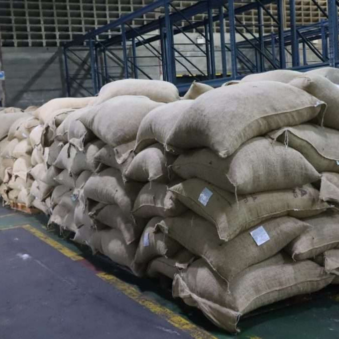 Diario Frontera, Frontera Digital,  Nacionales, ,Venezuela en 2 meses ha enviado 300 toneladas de cacao a Rusia