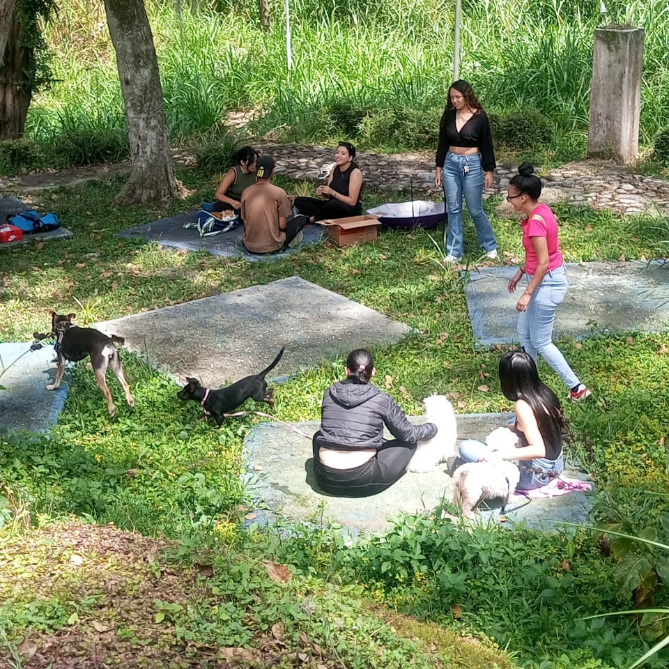 Diario Frontera, Frontera Digital,  Regionales, ,Alcalde Nelson Álvarez intensifica plan de atención integral a animales de compañía