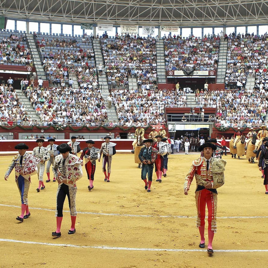 Diario Frontera, Frontera Digital,  Entretenimiento, ,El PSOE permitirá que la iniciativa ciudadana antitaurina para retirar la protección a los toros se pueda tramitar: "Se estaría negando el debate en la casa de la palabra"
