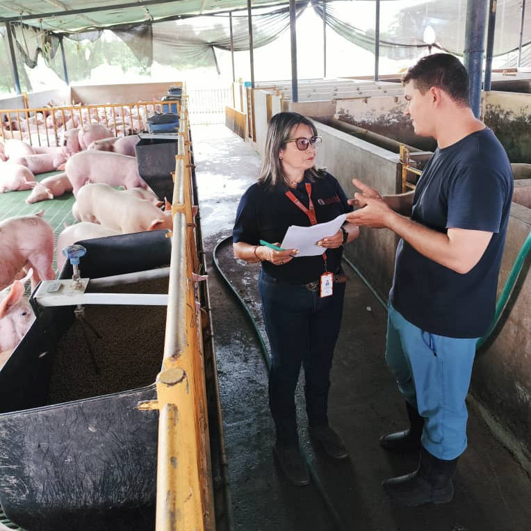 Diario Frontera, Frontera Digital,  Regionales, ,Sunagro inicia en Mérida el Plan Proteína Porcina 2025 para fortalecer la Producción Nacional