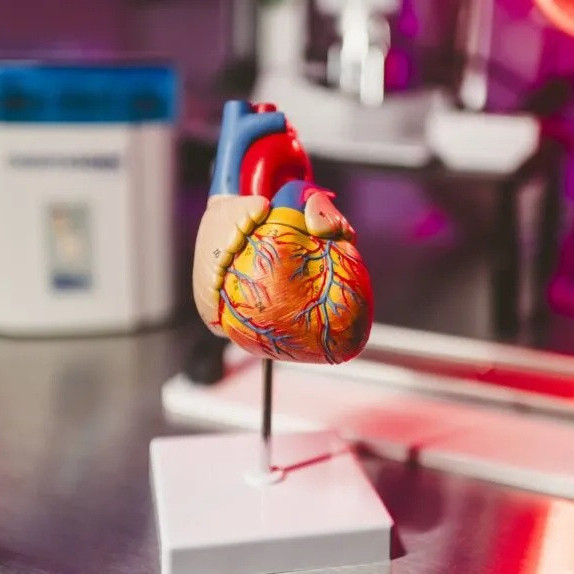 Diario Frontera, Frontera Digital,  Tecnología, ,Científicos crearon una IA que busca prevenir infartos oyendo los latidos