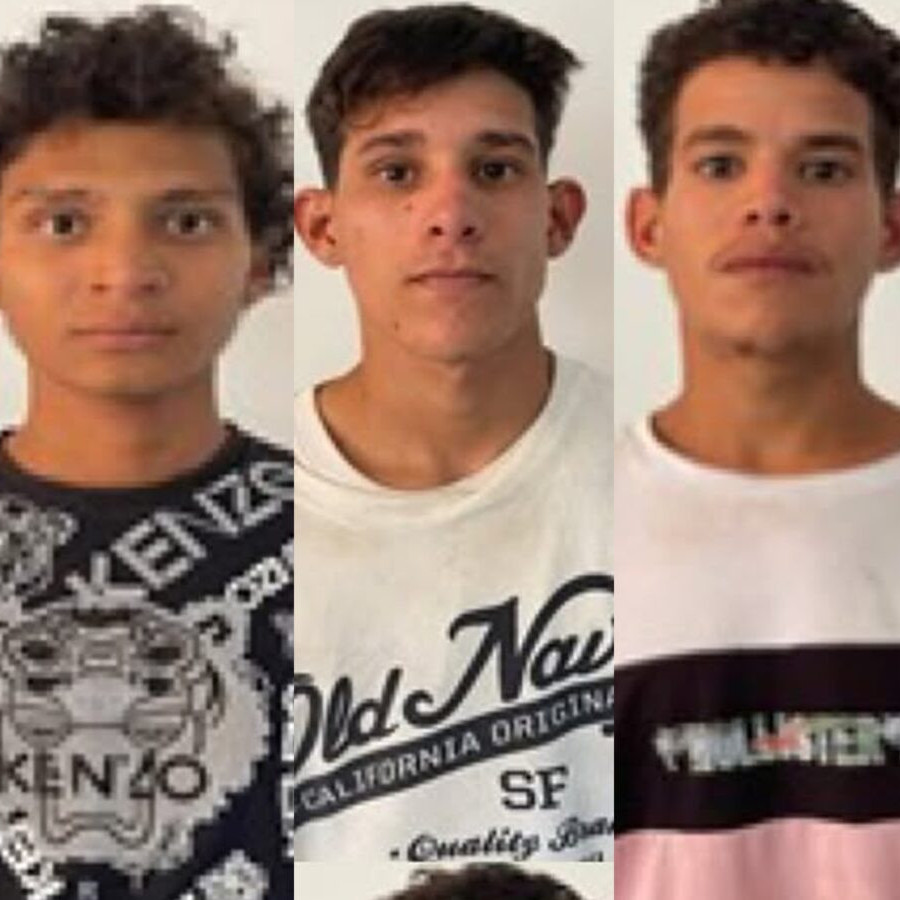 Diario Frontera, Frontera Digital,  Sucesos, ,Cuatro jóvenes detenidos por el asesinato de una mujer en Barinas