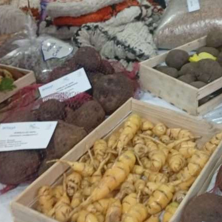 Diario Frontera, Frontera Digital,  Nacionales, ,Alianza científico campesina garantiza producción de semillas de papas