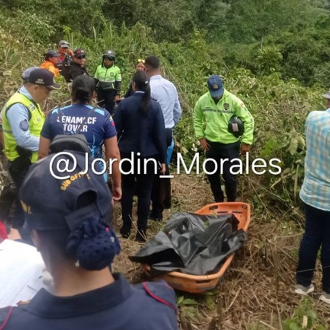 Diario Frontera, Frontera Digital,  Sucesos, ,Hombre murió al recibir una descarga electromagnética en Tovar