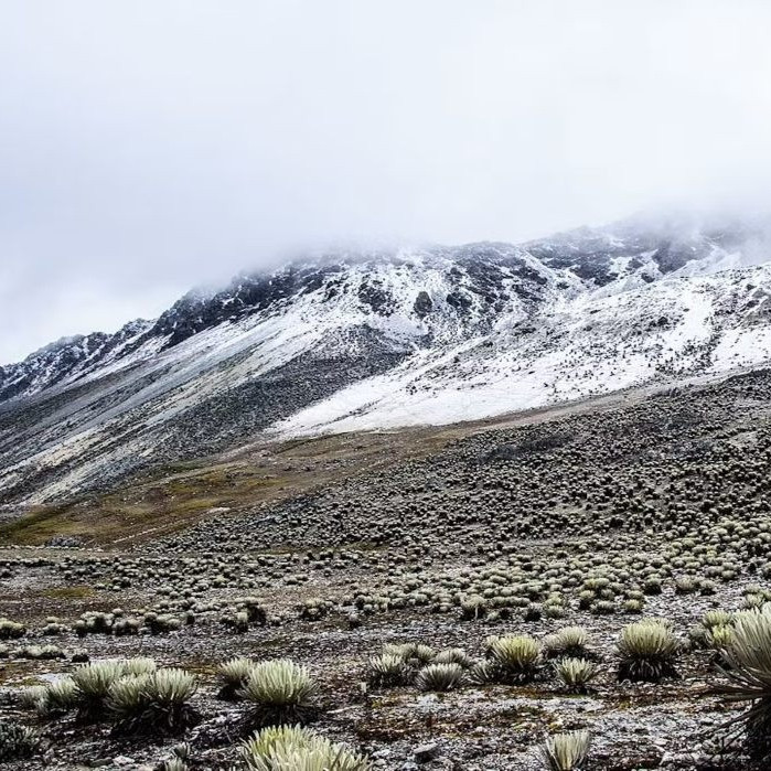 Diario Frontera, Frontera Digital,  Nacionales, ,Funvisis: Los Andes y las cordilleras Central y Oriental concentran la mayor actividad sísmica