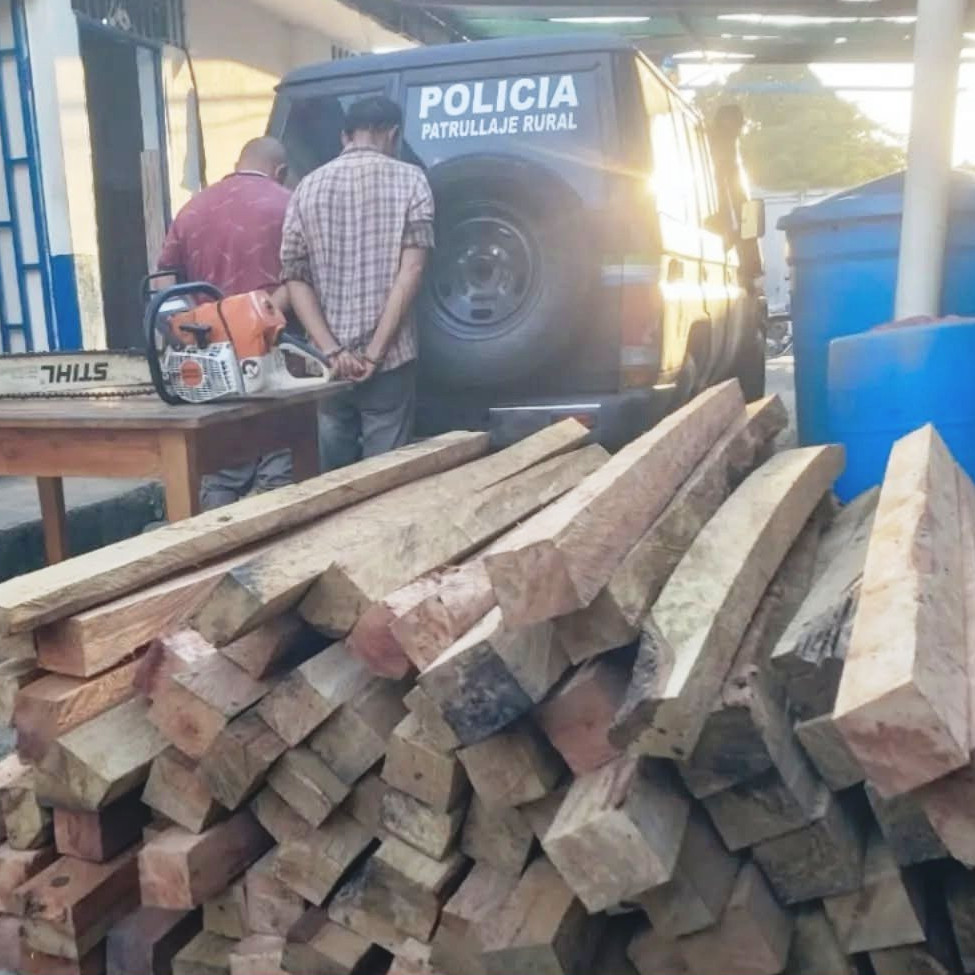 Diario Frontera, Frontera Digital,  Sucesos, ,Policía Rural capturó a dos ciudadanos
por tala ilegal en El Vigía