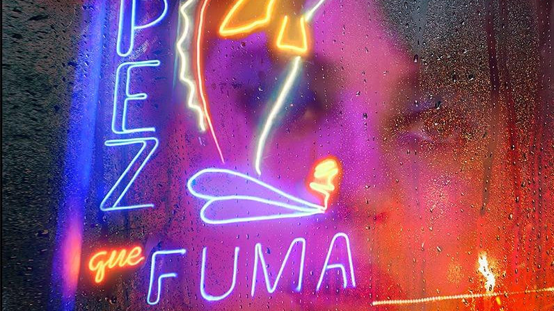 https://www.test.fronteradigital.com.ve/Luis Fernández y Mimí Lazo Desafían el cine nacional con el revelador estreno de "El nuevo Pez que Fuma”