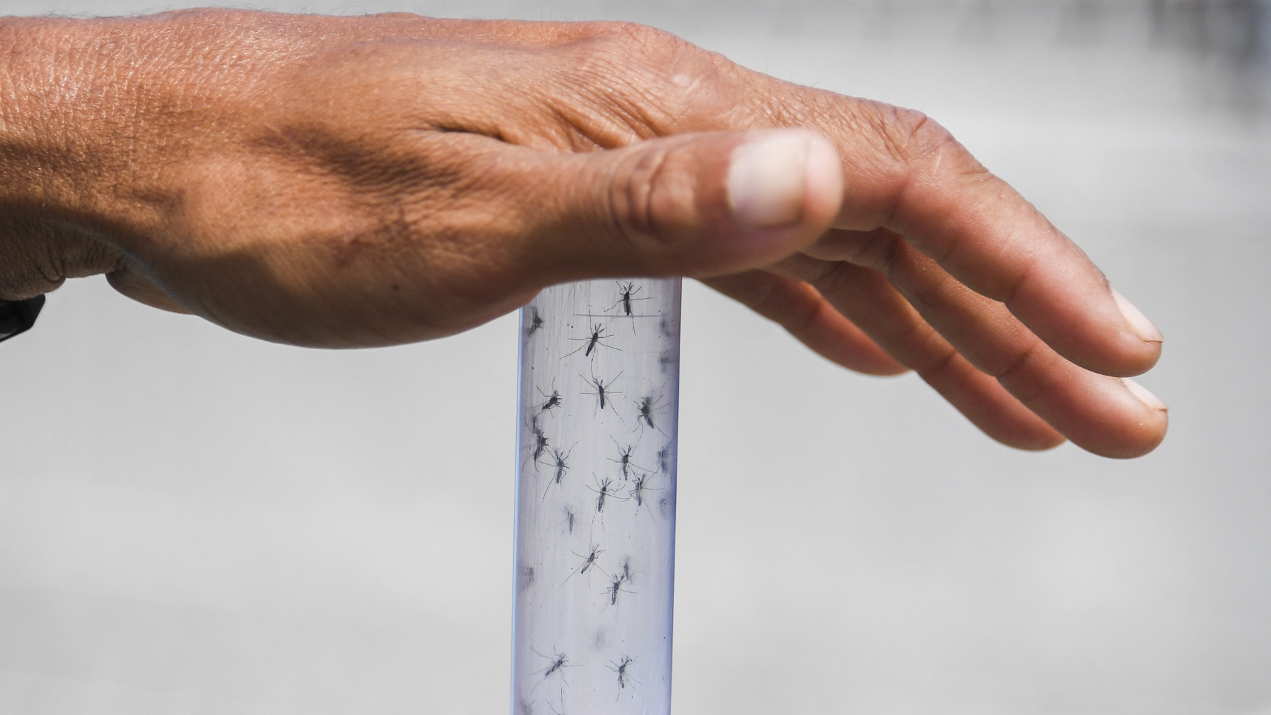 https://www.test.fronteradigital.com.ve/Ministerio de Salud declara alerta sanitaria nacional por efectos del fenómeno El Niño