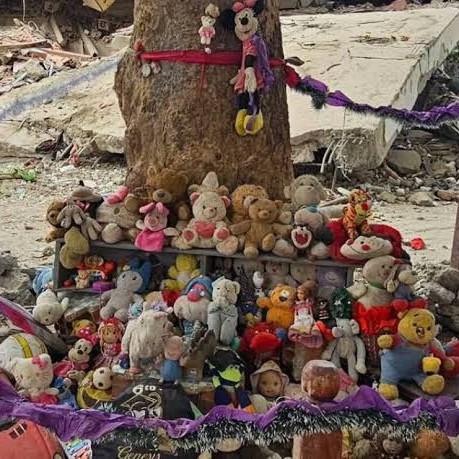 Diario Frontera, Frontera Digital,  Nacionales, ,Cecodap: 144 niños y adolescentes siguen desaparecidos a 100 días del doble terremoto en Venezuela