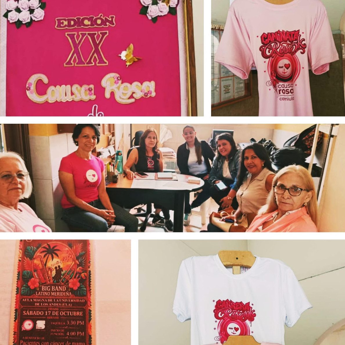 Diario Frontera, Frontera Digital,  Regionales, ,Causa Rosa de la ULA celebra 20 años de labor preventiva y apoyo 
a pacientes con cáncer de mama