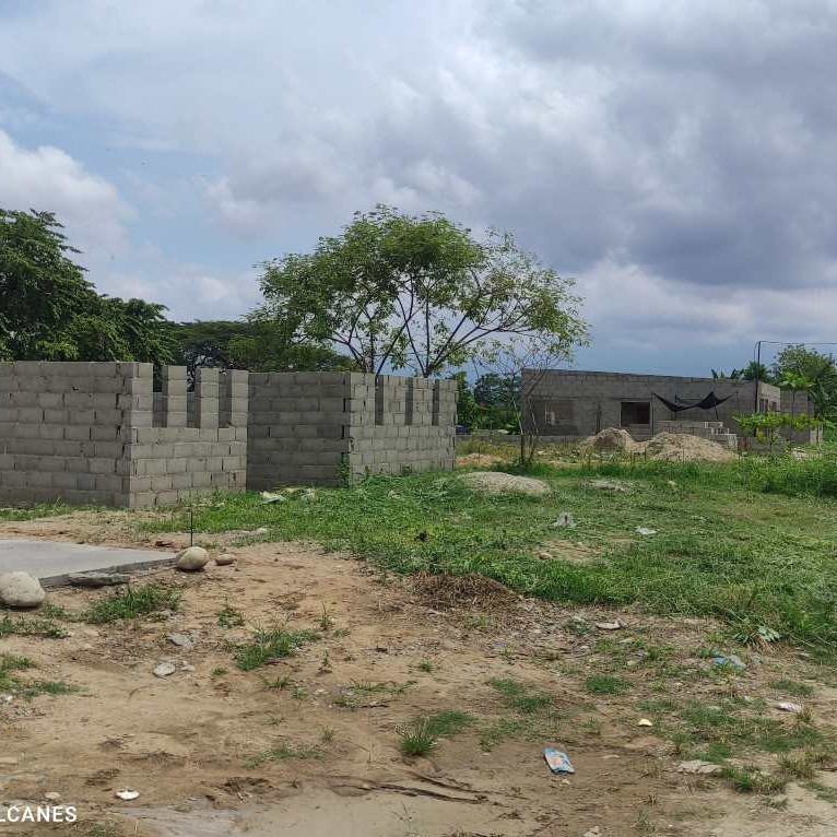 Frontera Digital,  El Vigía Panamericana,  Denuncian invasión de terrenos destinados a la Gran Misión Vivienda en Alberto Adriani