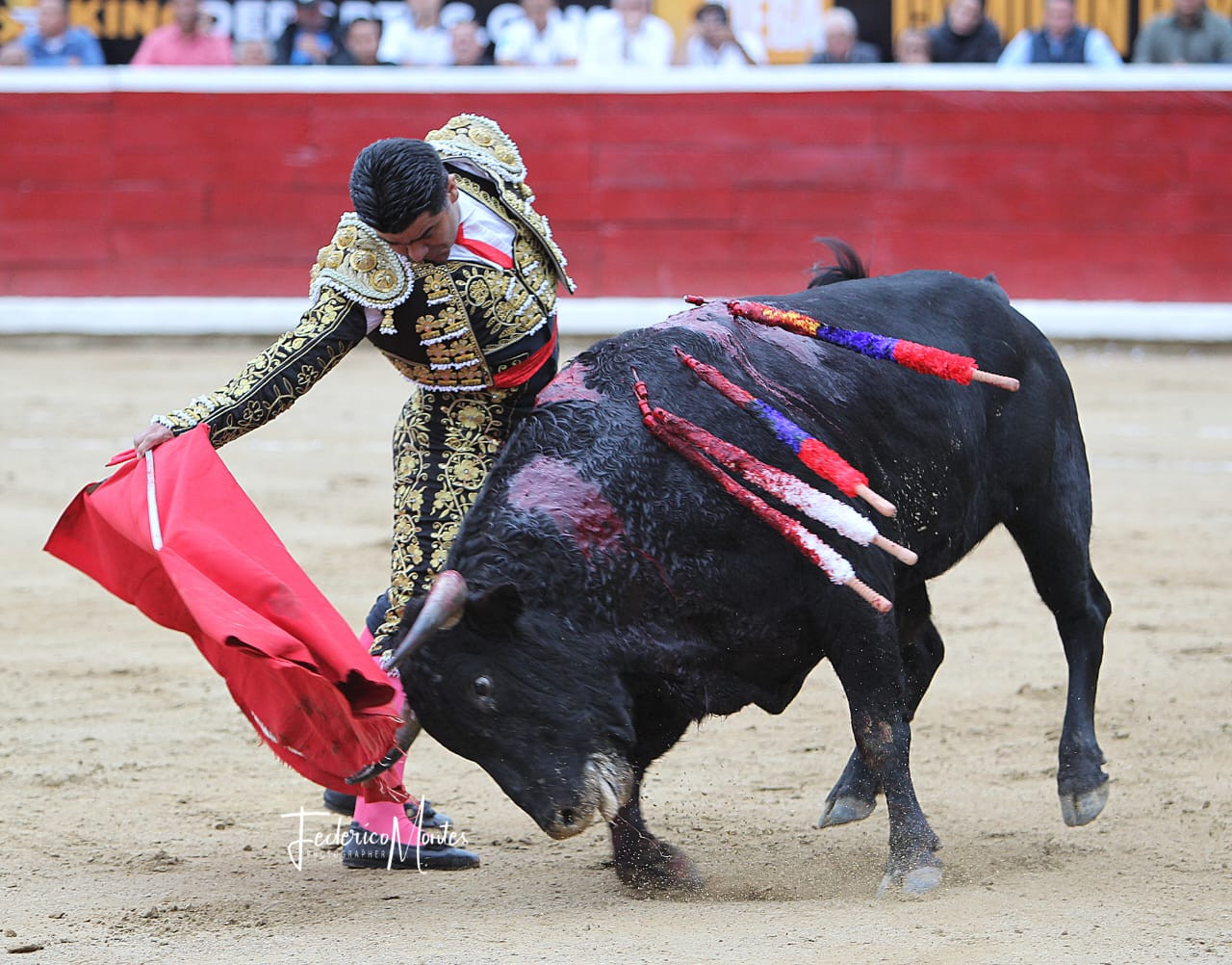 Diario Frontera, Frontera Digital,  Entretenimiento, ,Los toros vuelven a Achaguas por Semana Santa