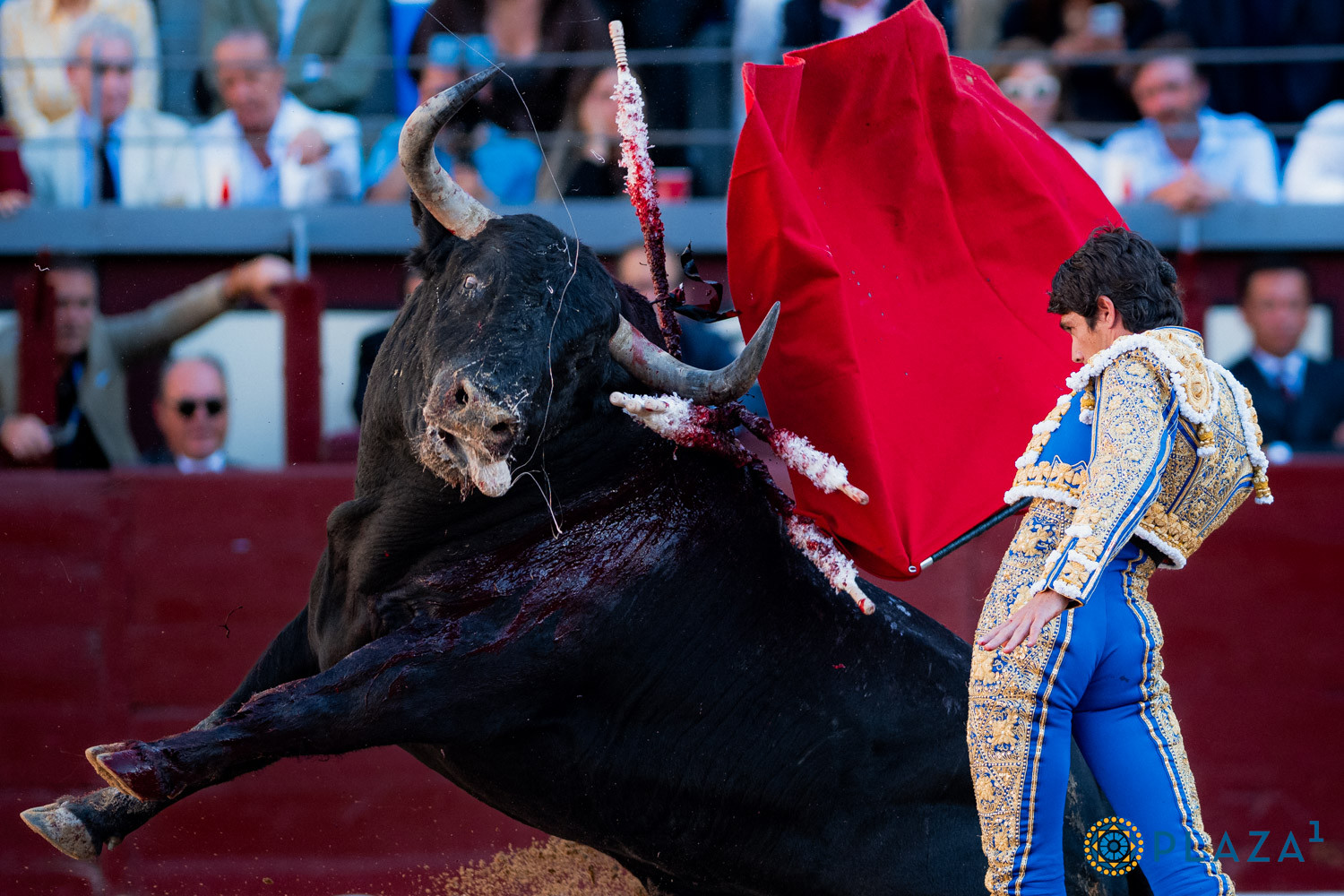 Diario Frontera, Frontera Digital,  Entretenimiento, ,Sebastián Castella cuaja con la muleta,Un jondo «Cantaor» ofrece las llaves eternas del paraíso