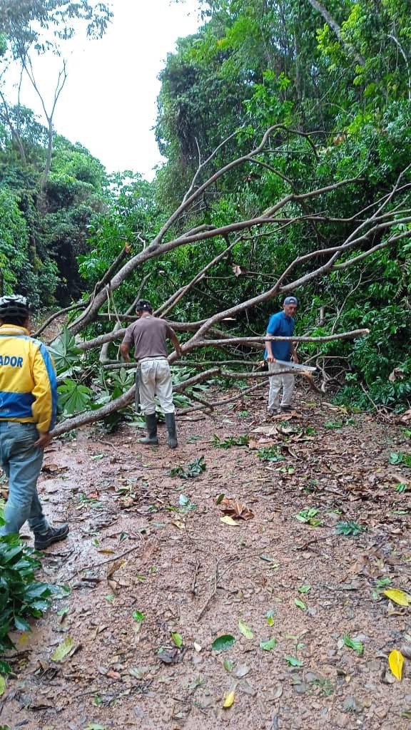 Diario Frontera, Frontera Digital,  Regionales, ,En materia de vialidad, funcionarios de Protección Civil realizaron un recorrido preventivo por la local 003, confirmando que se mantiene el libre tránsito en toda la zona,Alcaldía de Zea despliega evaluación de daños tras fuertes precipitaciones de este jueves