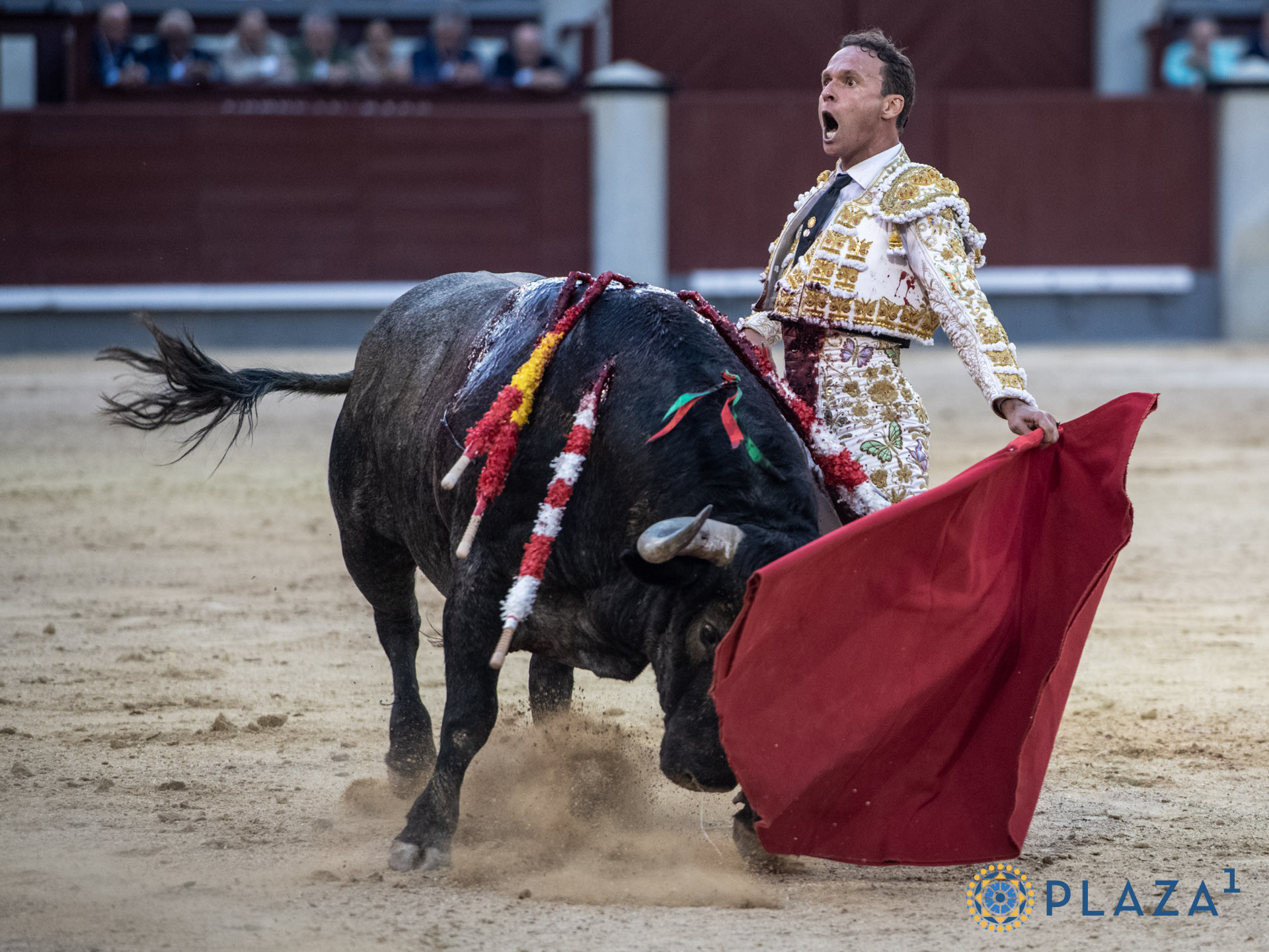 Diario Frontera, Frontera Digital,  Entretenimiento, ,Antonio Ferrera,San Isidro y el toro