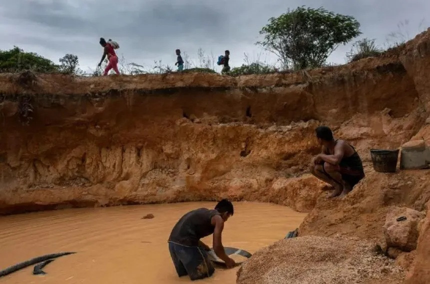 Diario Frontera, Frontera Digital,  Nacionales, ,SOS Orinoco denunció complicidad institucional en el auge de la minería ilegal en la Amazonía