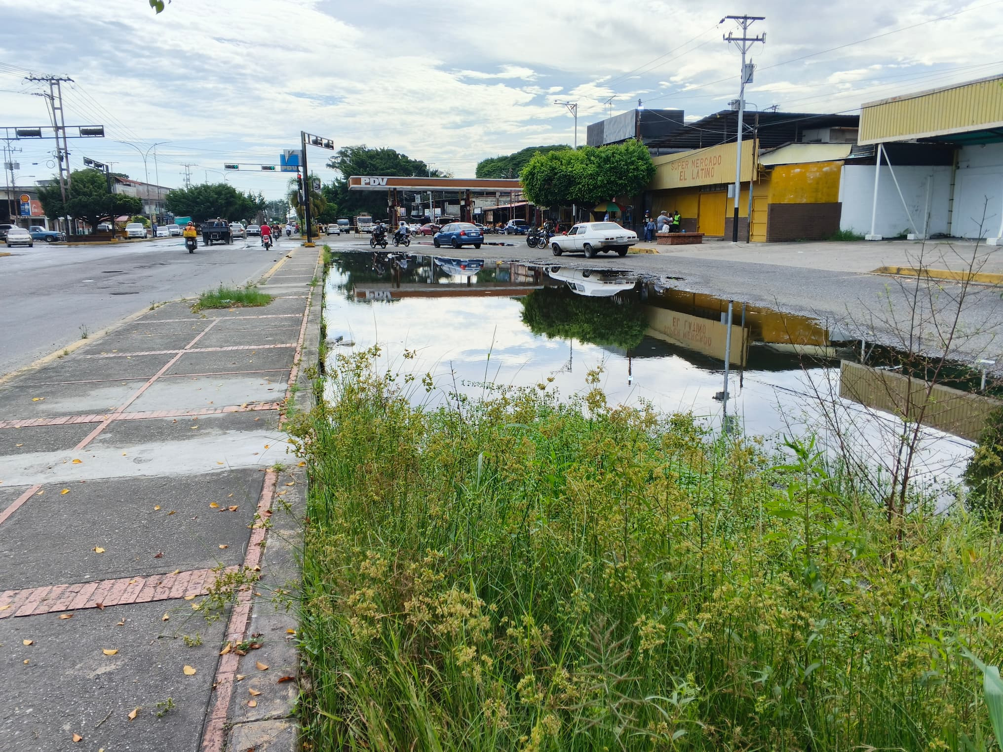 Diario Frontera, Frontera Digital,  Regionales, ,Entre aguas estancadas y maleza: El clamor del casco central de Nueva Bolivia exige atención institucional