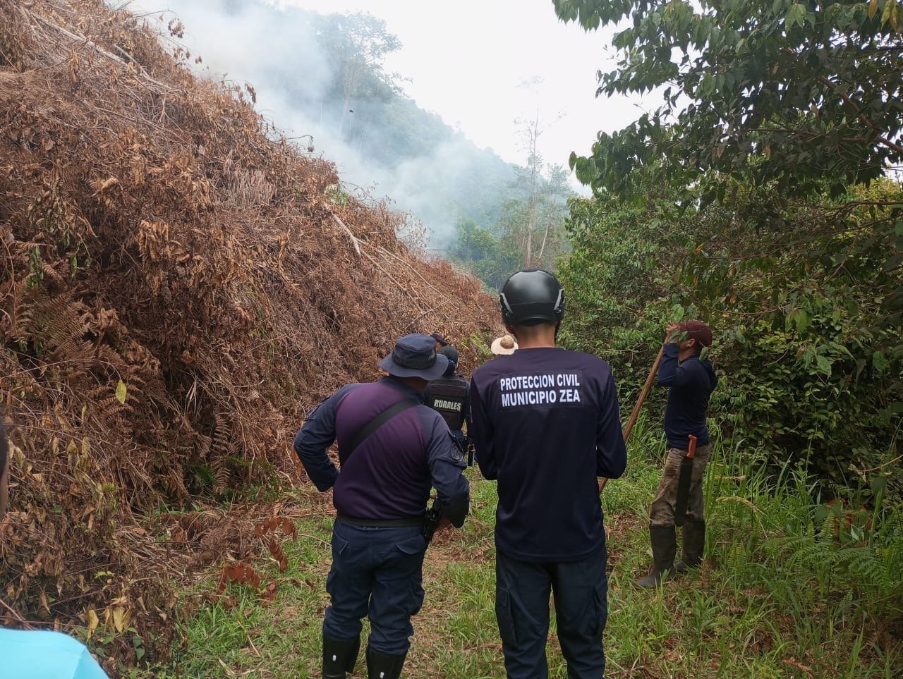Diario Frontera, Frontera Digital,  Mocoties, ,Autoridades ambientales detienen presunto delito ecológico en el municipio Zea