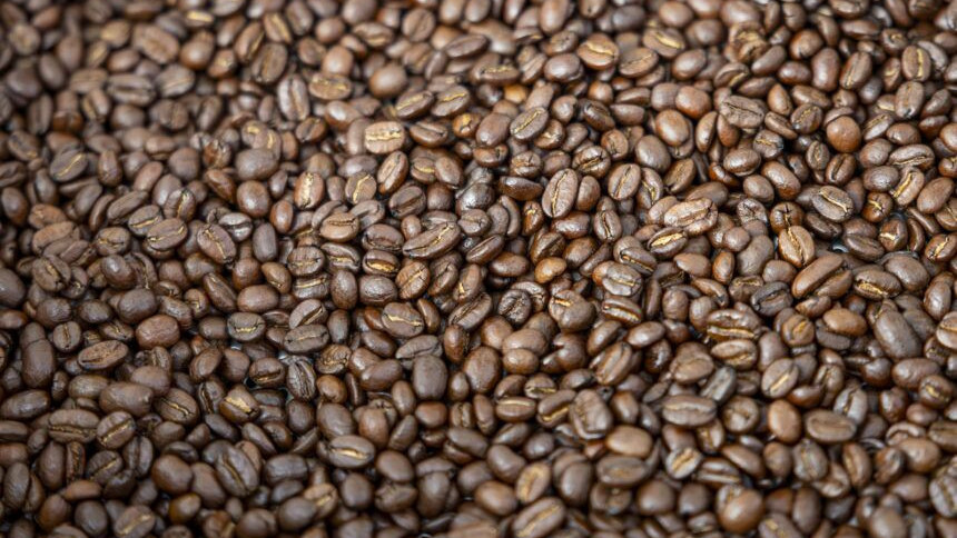 https://www.test.fronteradigital.com.ve/AN aprobó ley para impulsar la producción y exportación de café venezolano: ¿qué contempla la norma?
