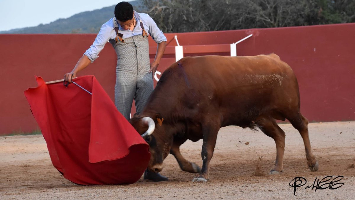 https://www.test.fronteradigital.com.ve/Este domingo en festival sin picadores actúa el matador José David Cadavid