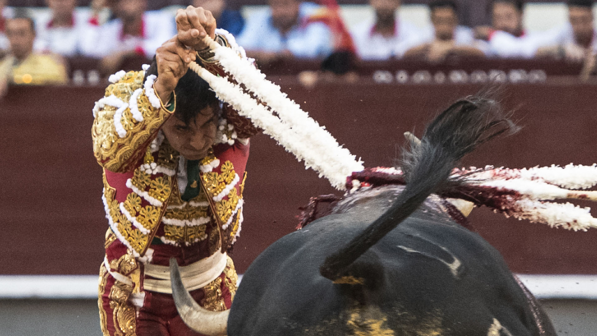 https://www.test.fronteradigital.com.ve/Una tarde muy rica en Las Ventas, tres toros de nota y un torero necesario: Ismael Martín