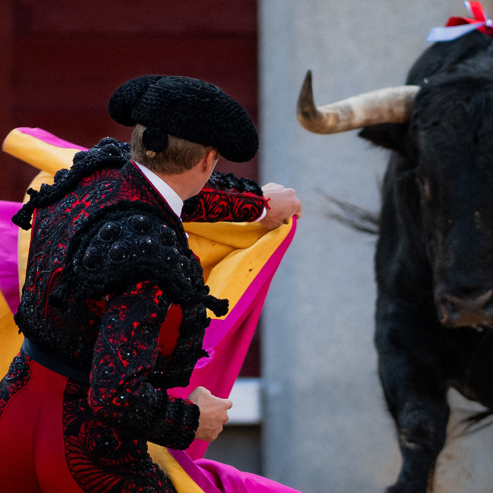 Diario Frontera, Frontera Digital,  Entretenimiento, ,Importante tarde y grave lesión de Clemente ante la dura corrida B de Juan Pedro Domecq en Las Ventas