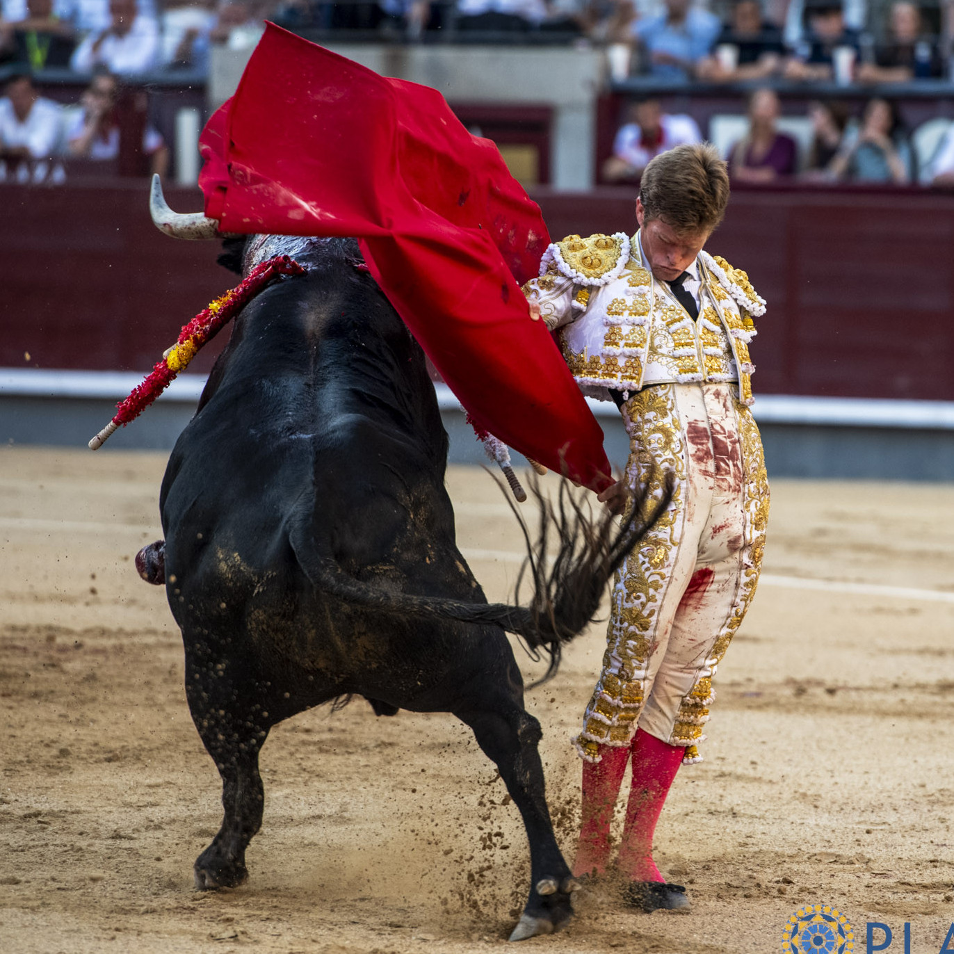 Diario Frontera, Frontera Digital,  Entretenimiento, ,El síndrome del pánico al triunfo sepulta el gesto de Borja Jiménez en Las Ventas