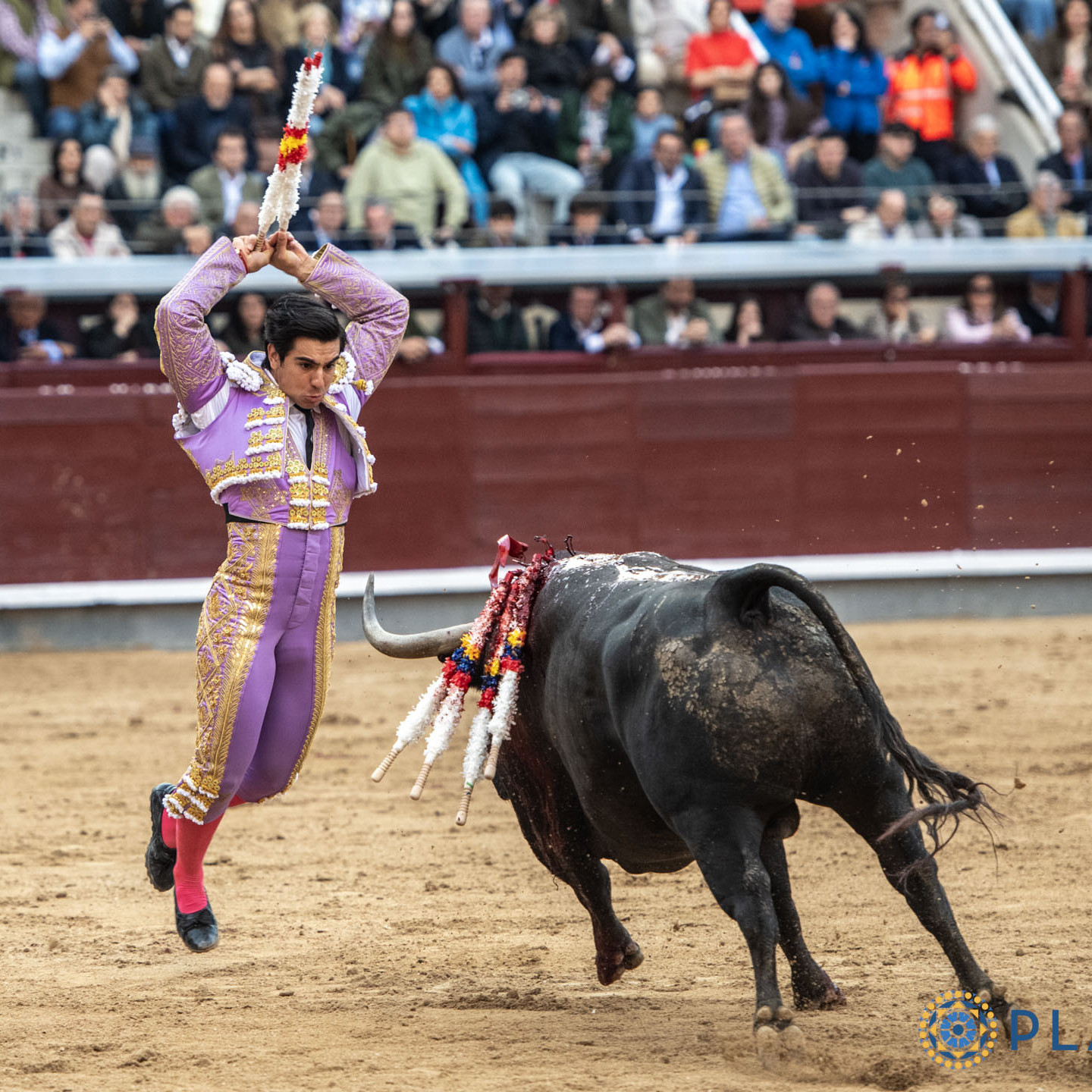 Frontera Digital,  Entretenimiento,  Primera alternativa de “Colombo” al lado de la revelación de la pasada Feria de San Isidro