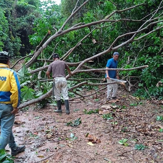 Diario Frontera, Frontera Digital,  Regionales, ,Alcaldía de Zea despliega evaluación de daños tras fuertes precipitaciones de este jueves