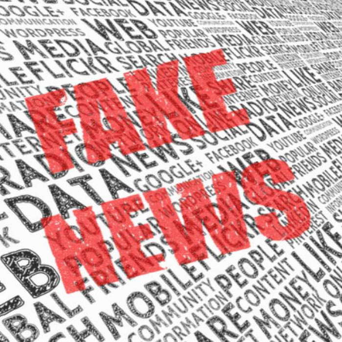 Diario Frontera, Frontera Digital,  Nacionales, ,Gobierno desmiente fake news sobre supuesta presentación de proyecto para reformar la Constitución en Venezuela