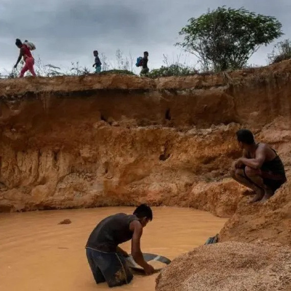 Diario Frontera, Frontera Digital,  Nacionales, ,SOS Orinoco denunció complicidad institucional en el auge de la minería ilegal en la Amazonía