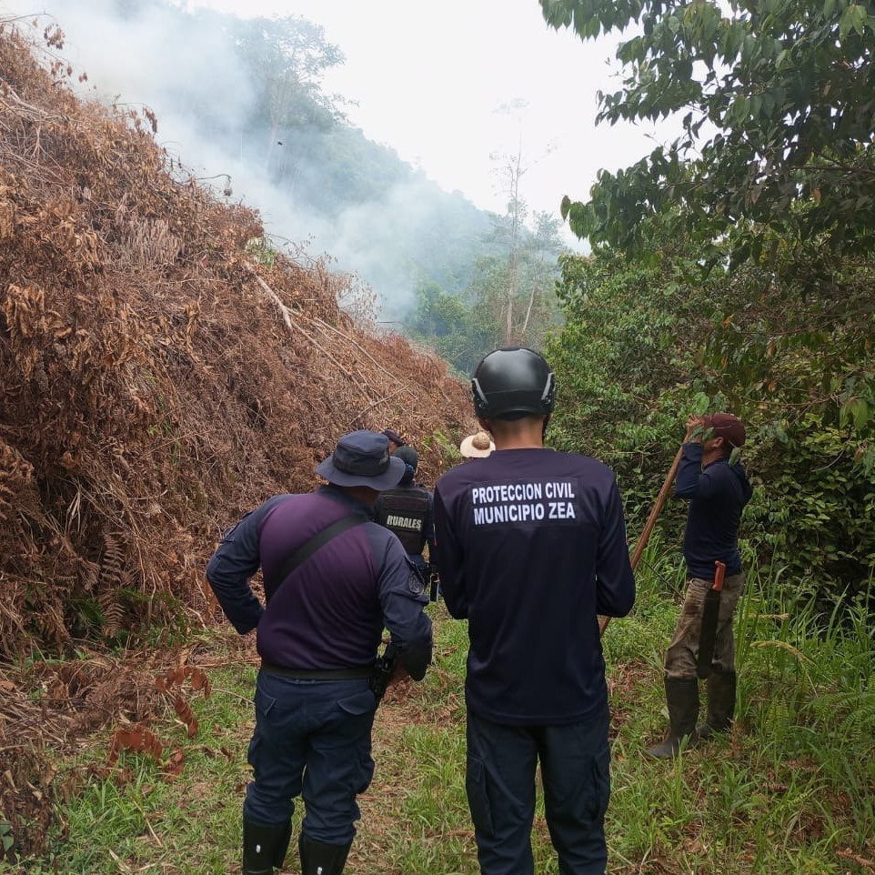 Diario Frontera, Frontera Digital,  Mocoties, ,Autoridades ambientales detienen presunto delito ecológico en el municipio Zea