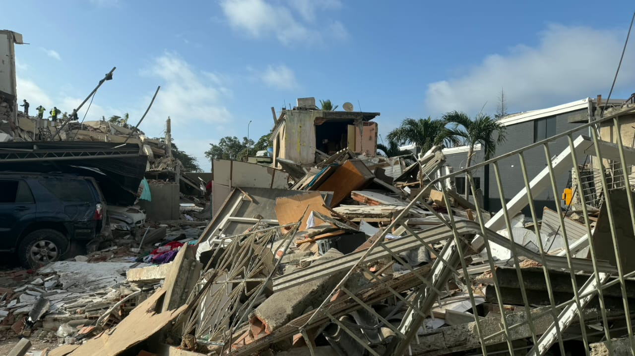 Diario Frontera, Frontera Digital,  Nacionales, ,Delcy promete viviendas para fin de año a damnificados por sismos: especialistas dudan que se cumpla