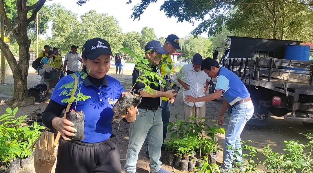 Diario Frontera, Frontera Digital,  El Vigía Panamericana, ,La iniciativa contó con una participación récord de más de 700 personas, entre personal de la Alcaldía, miembros de comunas, consejos comunales y estudiantes de diversas instituciones educativas,Masiva jornada de reforestación en El Vigía: 1.000 árboles sembrados 
en 12 puntos estratégicos