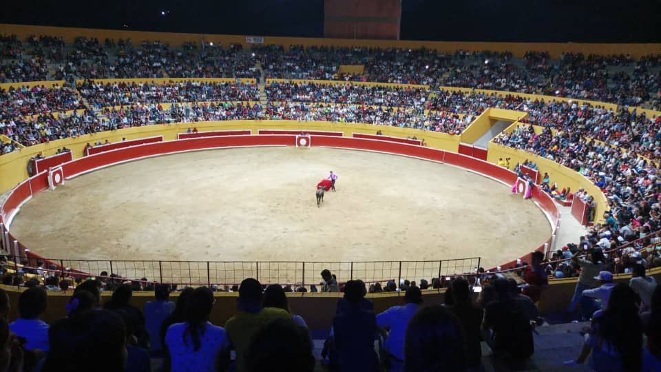 Diario Frontera, Frontera Digital,  Entretenimiento, ,TORICANTANO C.A. comienza bosquejar par de festivales benéficos feriales en Tovar