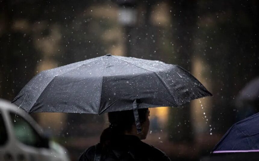 Diario Frontera, Frontera Digital,  Nacionales, ,Lluvias provocaron inundaciones y afectaciones en varios estados de Venezuela
