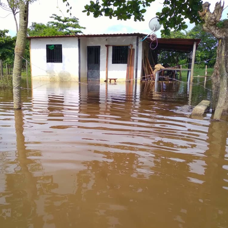 Diario Frontera, Frontera Digital,  Nacionales, ,Portuguesa: Otra vez inundados barrios del sur y suroeste de Guanarito por crecida del caño Potrerito