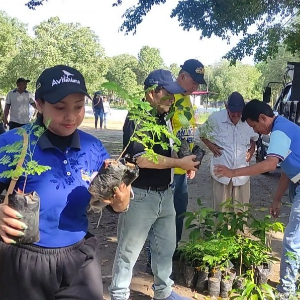 Diario Frontera, Frontera Digital,  El Vigía Panamericana, ,Masiva jornada de reforestación en El Vigía: 1.000 árboles sembrados 
en 12 puntos estratégicos