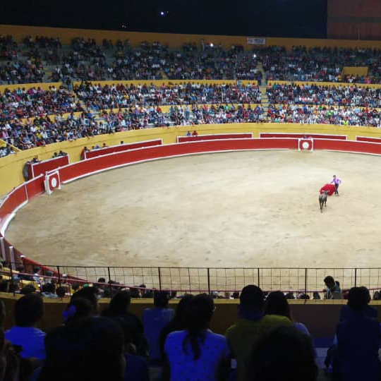 Diario Frontera, Frontera Digital,  Entretenimiento, ,TORICANTANO C.A. comienza bosquejar par de festivales benéficos feriales en Tovar