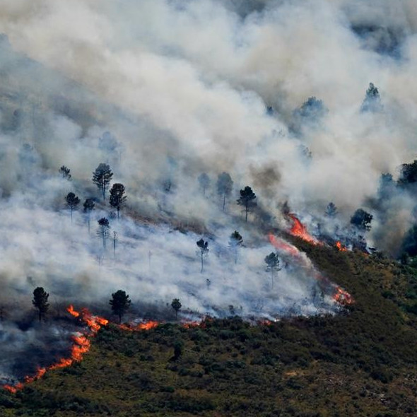 Diario Frontera, Frontera Digital,  Internacionales, ,Evacuaciones masivas por feroces incendios en sur de Europa