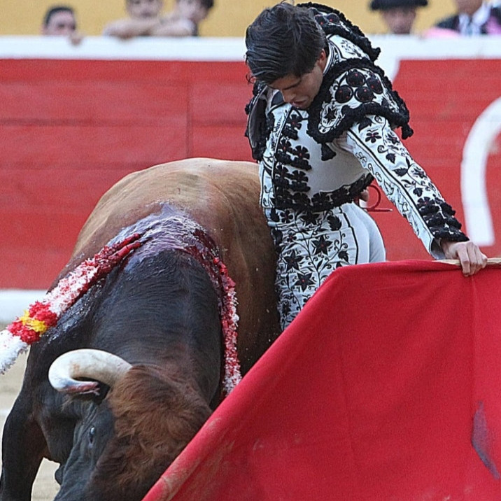 Diario Frontera, Frontera Digital,  Entretenimiento, Mocoties, ,Una Feria de Tovar 2026 centrada en buscar sus orígenes