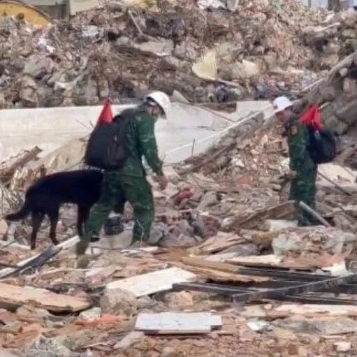 Diario Frontera, Frontera Digital,  Nacionales, ,Rescatistas y voluntarios buscan a 21 presuntos sobrevivientes bajo los escombros del Oasis Beach en Playa Grande