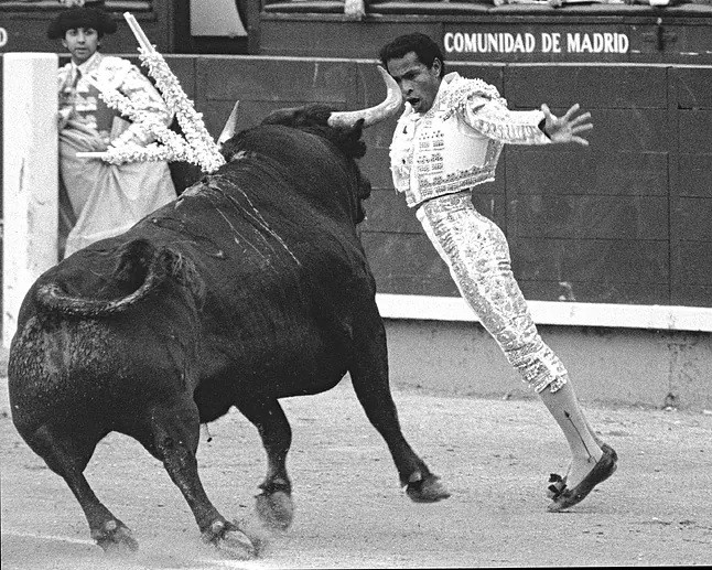 Diario Frontera, Frontera Digital,  Entretenimiento, ,Tranquilo en su Maracay natal así transcurre los años de retiro de un torero que fue bandera de Venezuela en los ’80. Foto: Botan.,“Morenito de Maracay”: «Jamás sufrí racismo en las plazas de toros de España»