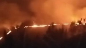 https://www.test.fronteradigital.com.ve/Incendio forestal afectó montañas del 
Páramo andino en el municipio MIranda