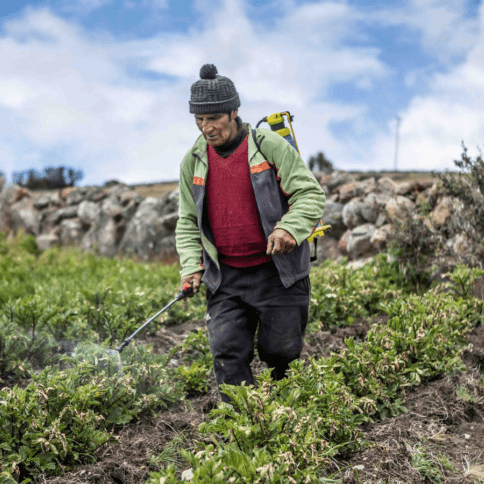 Diario Frontera, Frontera Digital,  Nacionales, ,Advirtieron sobre daños en las cosechas de los Andes ante efectos del ‘‘Superniño’’