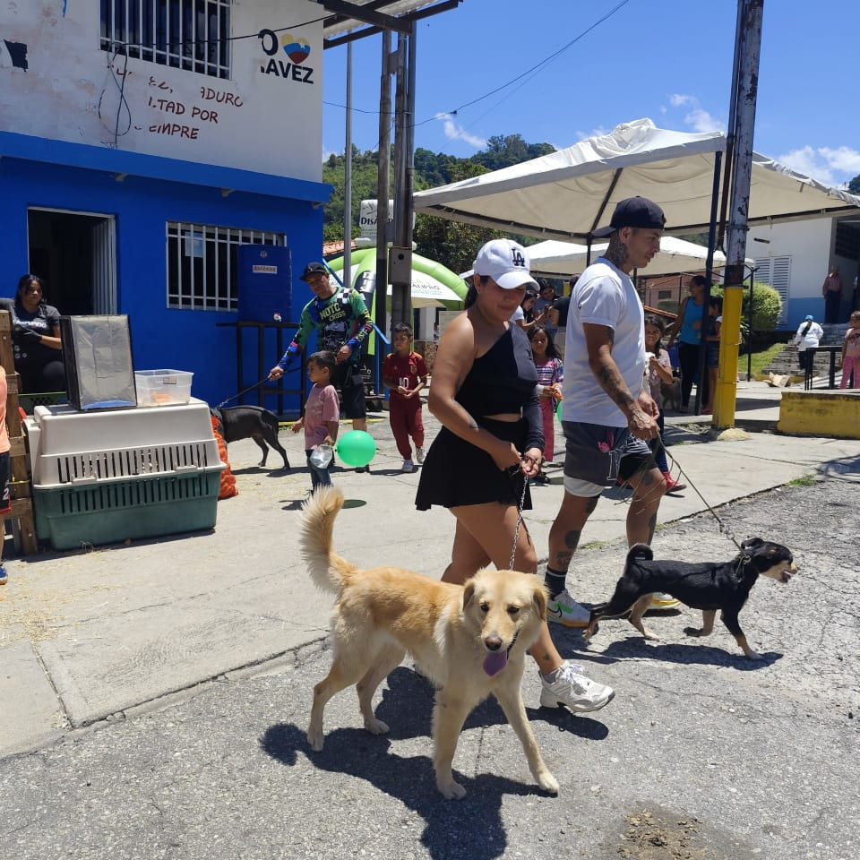 Diario Frontera, Frontera Digital,  Regionales, ,Lanzamiento oficial del «Plan Rabia Cero» benefició a más de 100 animales de compañía y comunitarios en Mérida