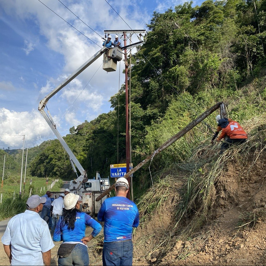 Diario Frontera, Frontera Digital,  Regionales, ,Restablecido el servicio eléctrico en el municipio Zea tras la caída de árbol que afectó el tendido eléctrico